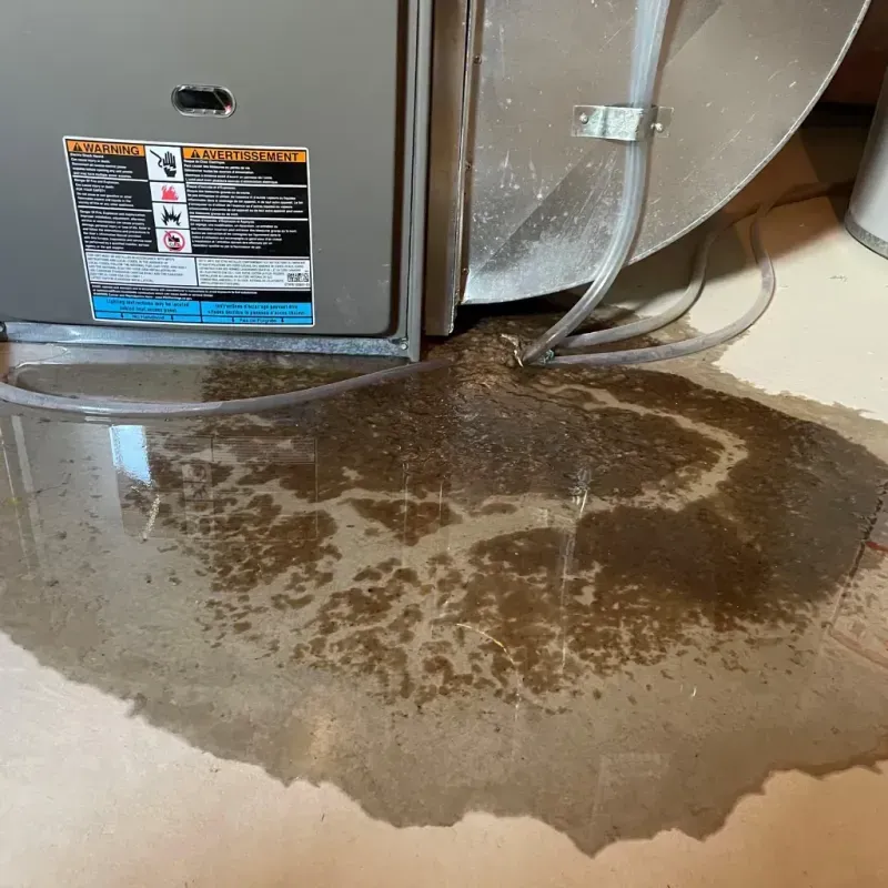 Appliance Leak Cleanup in Minetto, NY